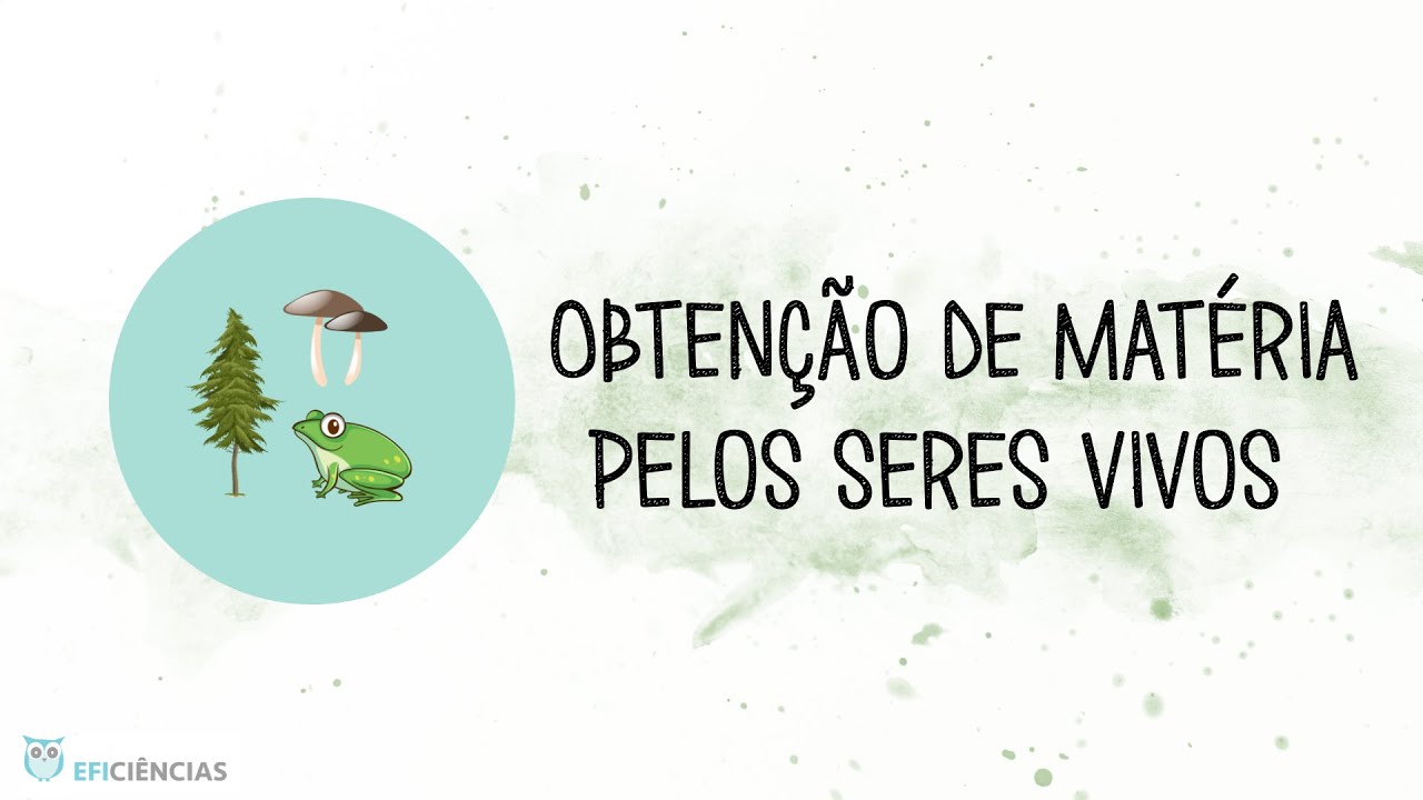 Obtenção de matéria pelos seres vivos - Biologia e Geologia 10ºano