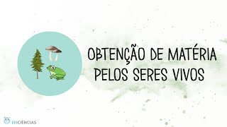 Obtenção de matéria pelos seres vivos - Biologia e Geologia 10ºano