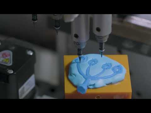 Miniatura do vídeo 2