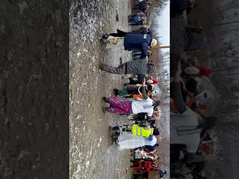 Malancă Puiesti Vaslui 2018 partea 2