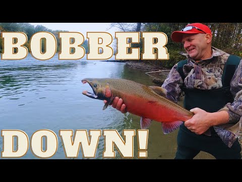 |4K| EPIC BOBBER DOWNS!    Catching Coho & King Salmon w/ Bobber & Eggs/Roe/Skein