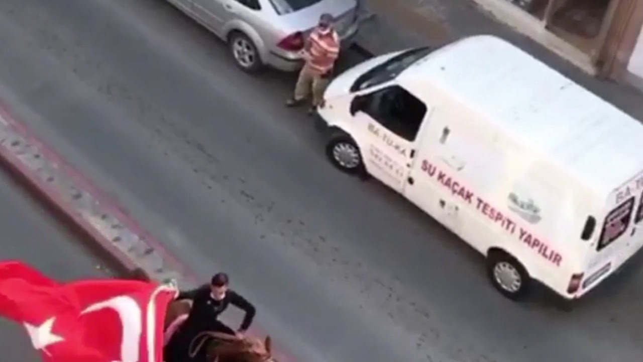 29 Ekim Cumhuriyet Bayramı’nda Atlar İlgi Odağı Oldu