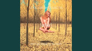 Don't Go Breaking My Heart - Birch & Chris Swing Mix