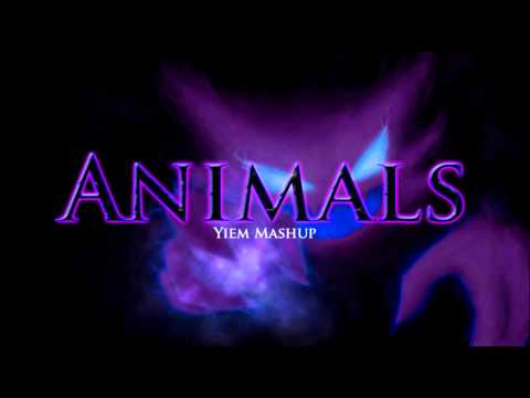 Martin Garrix Ft Steve Aoki - Animals (Yiem Mashup)