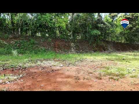 img-video