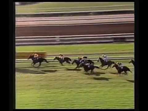 1985 BTC Brisbane Cup _ Foxseal ( NZ )