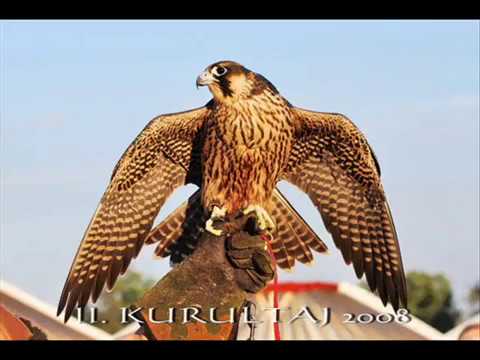 Romantikus Erőszak - Lehel Kürtje