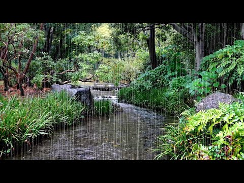 Calming Rain and Water Sounds – ASMR White Noise for Mind Cleansing, Healing, Meditation & Study