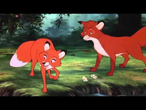The Fox and the Hound  Tod meets Vixie HD