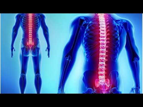 The amazing power of your spine/रीढ़ की हड्डी का महत्व