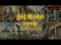 [n] Rake meaning (tool, action) with 5 examples