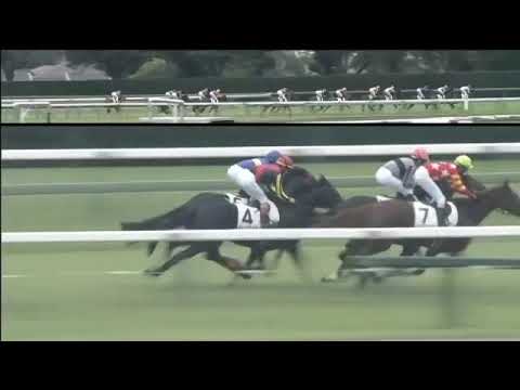 2018.09.30 2yo Newcomer (JPN) - Air Gene