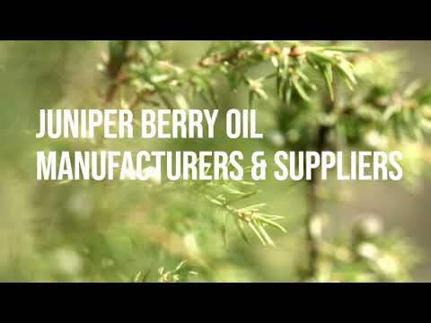 Juniper Berry Oil, Natural, Packaging Size: 1 kg