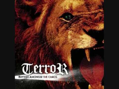 Terror- Rhythm Amongst the Chaos