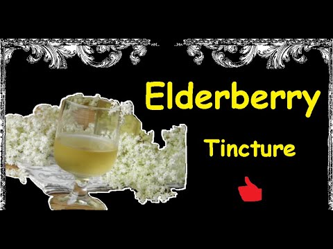 Elderberry Tincture / Book of recipes / Bon Appetit