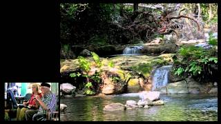 &quot;THE LARK IN THE CLEAR AIR&quot; - IRISH FOLK SONG FOR RECORDER