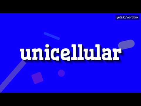 UNICELLULAR - HOW TO PRONOUNCE IT!?