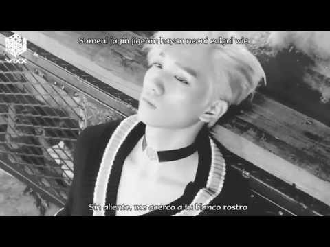 [FMV] Spider - VIXX [Sub Español/Rom]