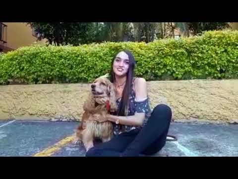 Colombian Au pair Susana, 22 - EurAupair Video Profile