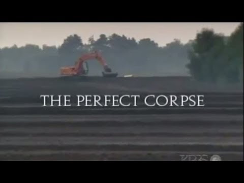 The Perfect Corpse