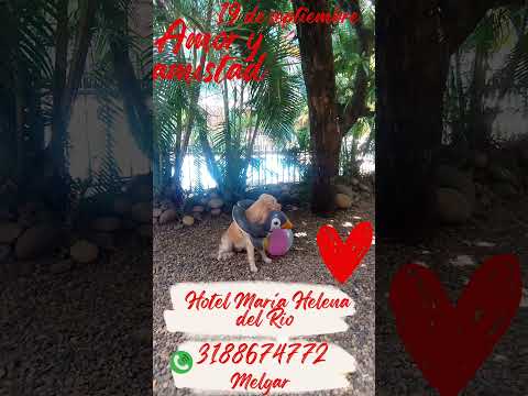 Hotel María Helena del Rio Melgar Tolima whatsApp 3188674772 #petfriendly #naturaleza #vacaciones