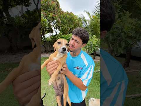 OS FILHOTINHOS SUMIRAM! 😱