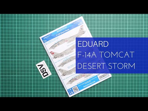 Eduard 1/48 F-14A Desert Storm (D48104) Review