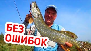 Кого и на что ловить ночью щуку