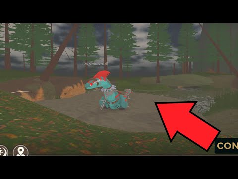 ALL accessories for ALPHA SPEED STINGER!