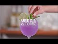 Recipe Inspiration: Ube Gin & Tonic