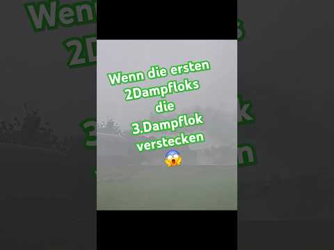 3 auf einen Streich - 01 1104 , 35 1097, 23 058 an einem Zug  #br01 #br35 #br23 #dr #db #dampflok