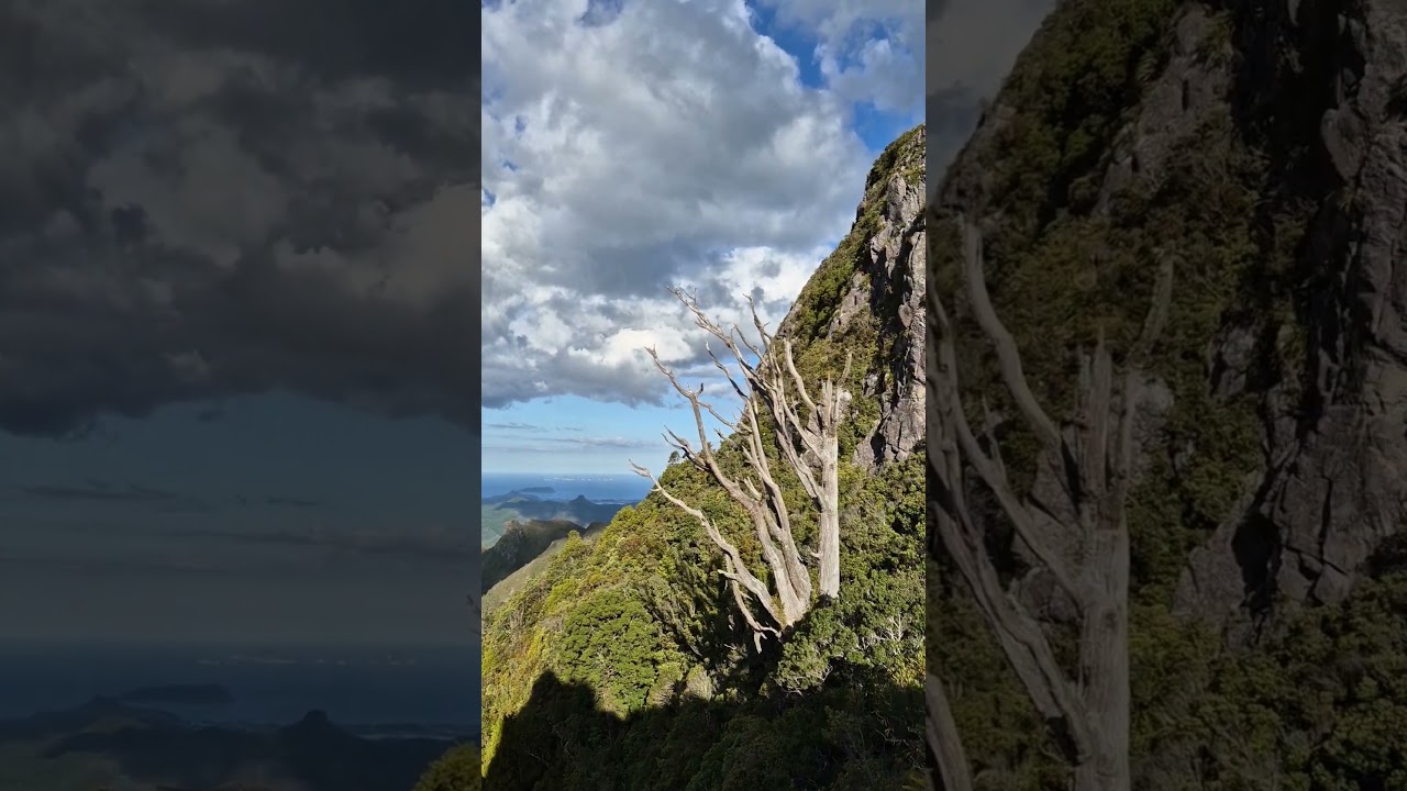 YouTube Short thumbnail