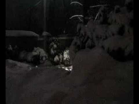 Maciek K. (jackass II)