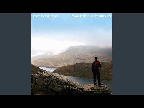 I Want You In My Dreams