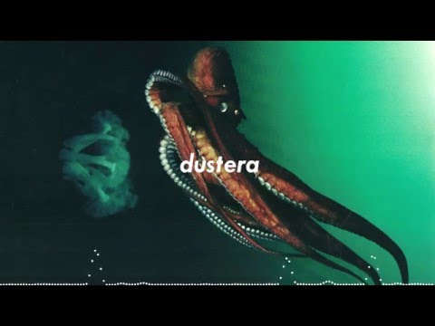 am. - imnotreallyhere w. borealism