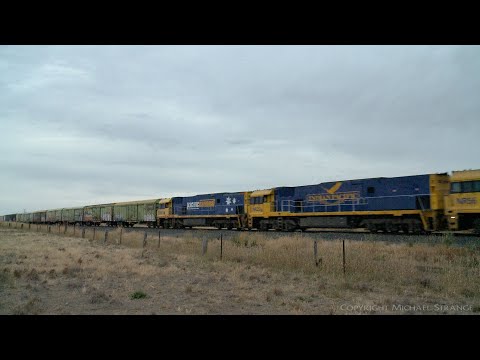 3PM6 Pacific National Freight Train - PoathTV Australian Railways