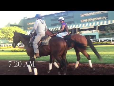 Breeders Cup Distaff 2016 Beholder