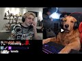 These Hasan Dog Shock Collar Memes Are Insane