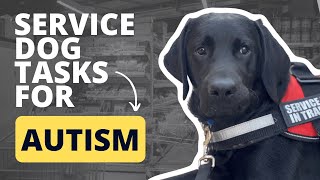 Service Dogs for Autism (Tasks for Autism, Getting an Autism Service Dog, and Considerations)