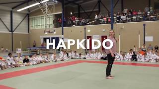 Download lagu HAPKIDO - Messing with the wrong girl mp3
