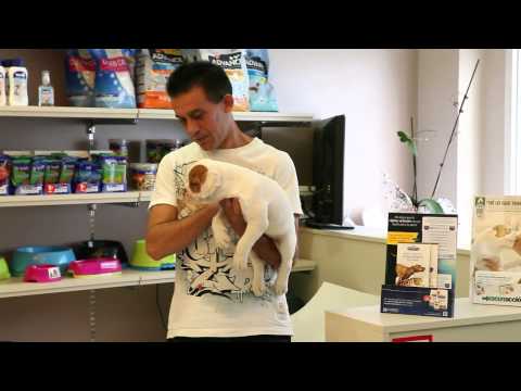 PLAN DE SALUD CASTELLS