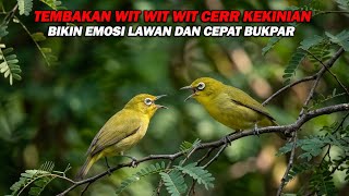 Download lagu PANCINGAN PLECI NEMBAK WIT WIT WIT CERR PANJANG KEKINIAN, BIKIN LAWAN IKUT NEMBAK DAN BUKPAR mp3 Download lagu PANCINGAN PLECI NEMBAK WIT WIT WIT CERR PANJANG KEKINIAN, BIKIN LAWAN IKUT NEMBAK DAN BUKPAR mp3