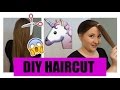 DIY LAYERED HAIRCUT HOW I CUT MY HAIR AT HOME UNICORN PONYTAIL METHOD