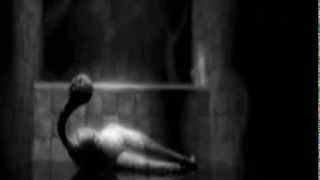 Dominique A - Endermonde