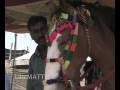 Rajasthan, Marwari horses' fair 
