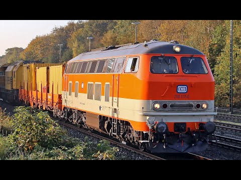 Die Eisenbahn nach Sylt 2021 - Sommer + Herbst (Güter-/Bauzüge)