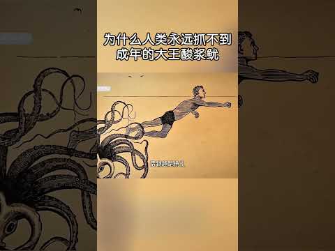 為何人類始終抓不到成年大王酸漿魷？#shorts | #紀錄片 #有趣  #creative