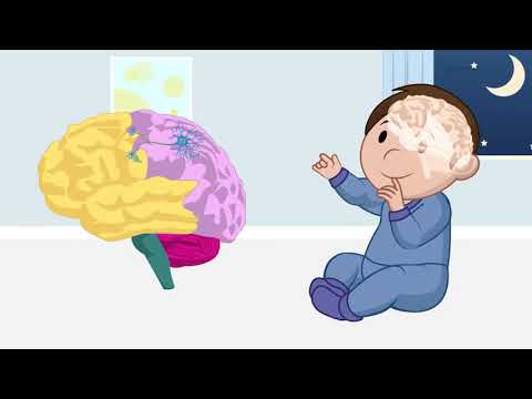 Curso de Promotor del Desarrollo Infantil 0