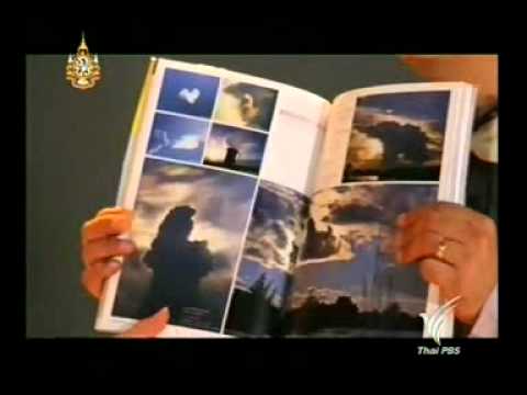 พืชสำหรับแรงอียิปต์ เพิ่มสมาชิกโดยไม่ต้องลงทะเบียนและ SMS