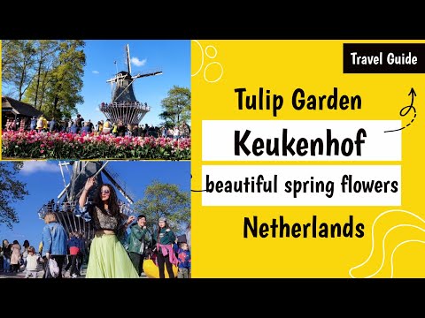 The Tulip Garden in Spring | Keukenhof | Netherlands | Travel Guide